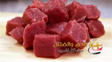 خطر وبائي.. نقابة الفلاحين تصدر تعليمات عاجلة للتعامل مع انتشار مرض جديد في المواشي